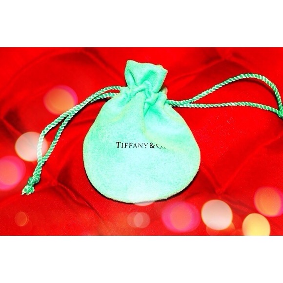 Authentic Tiffany Jewelry Bag