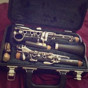 Yamaha 250 clarinet.