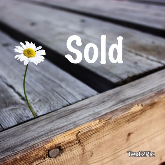 ann taylor loft blouses