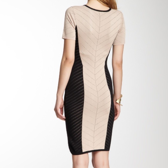 ❌closed❌Torn by Ronny Kobo - Picture 2 of 4