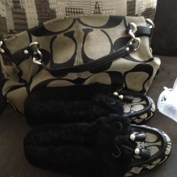 Coach shoes for $30 an purse for $30