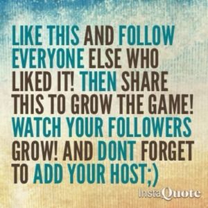 Lets get more followers!!