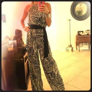 Zebra Pant suit