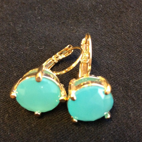 ❌SOLD❌Seafoam green leverback earrings