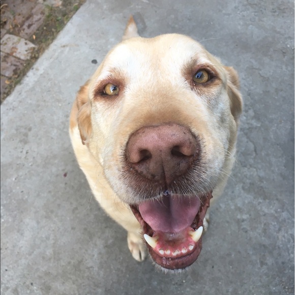 Hi ππΈ - Picture 2 of 7