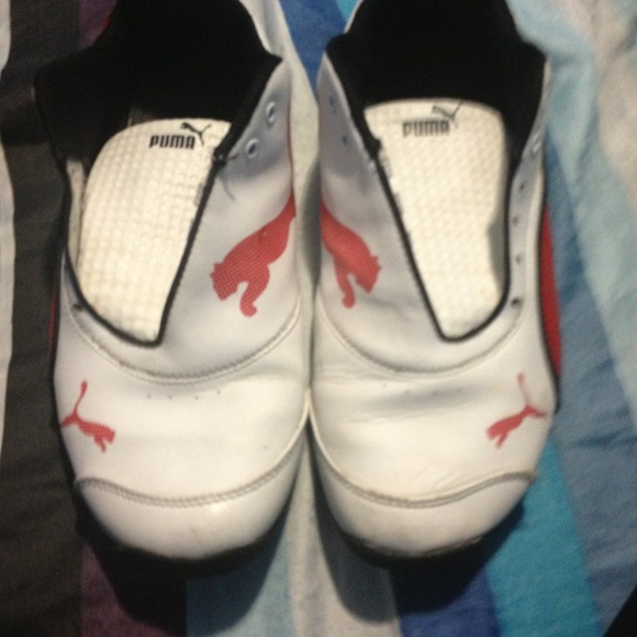 pumas 6/5y