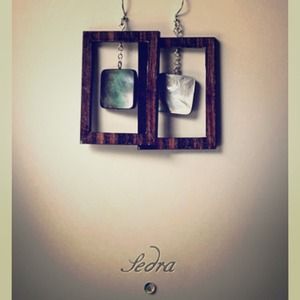 Shell and tiger ebony wood earrings