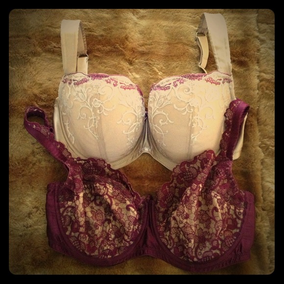 Panache Masquerade "Persia" & "Delphi" Bras 28GG
