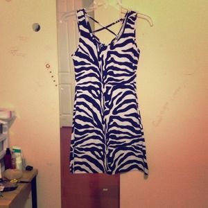 Cute Zebra Dress