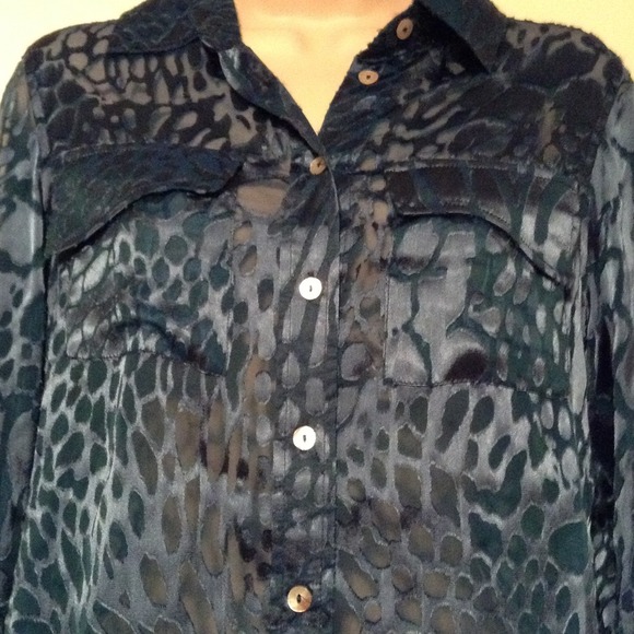 🎉HP🎊 R & J Moroccan Blue Sheer Button-down - Picture 4 of 4