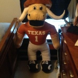 Texas longhorn bear