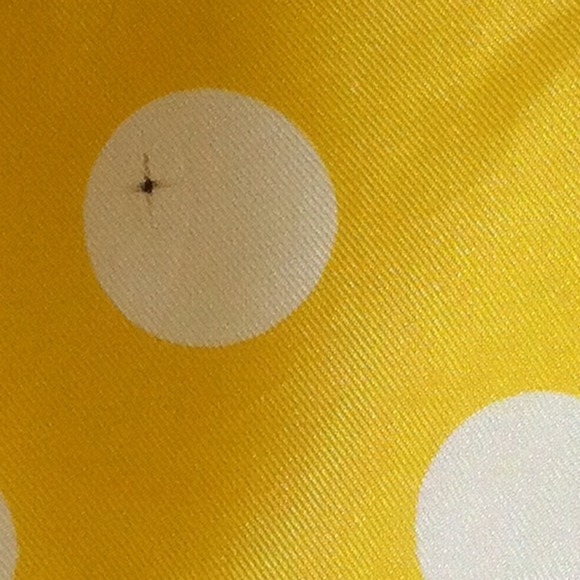 The Sunny Side of Life! - Picture 3 of 4