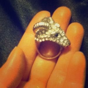 Animal Ring