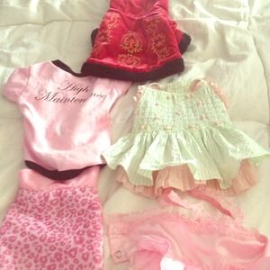 Bundle of five dog clothes no green dress now!