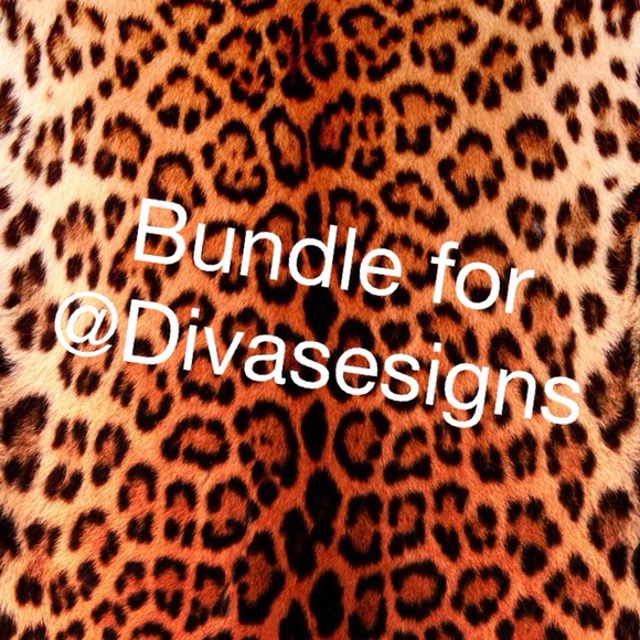 Cheetah Bundle
