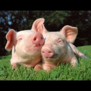 Reduced prices today