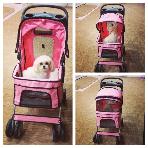 Princess Daisy and her new stroller!