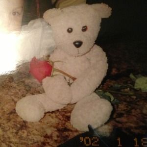 Lost !! Pink bear bought at target