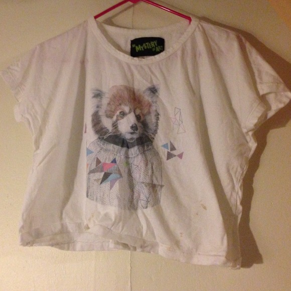 Vintage crop top