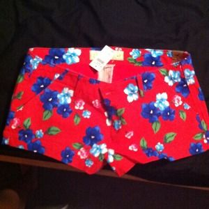 ****SOLD*****Brand New Hollister Shorts !
