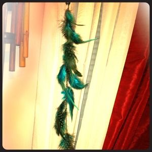 Clip on feather extension