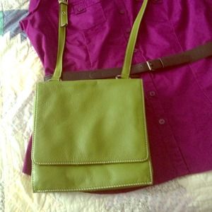 💚💚 Tignanello apple green handbag
