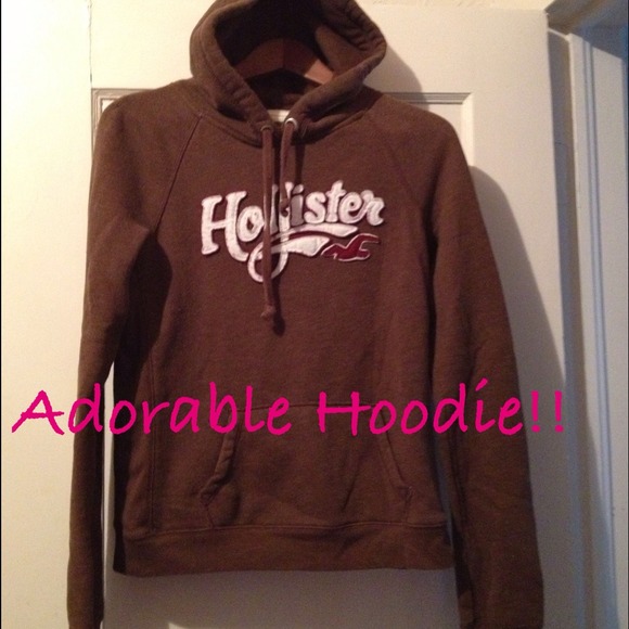Adorable Hollister Hoodie*Brown/Maroon*Sz L