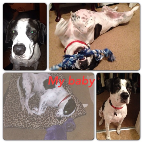 ❤Meet your buyer & seller! ❤ - Picture 3 of 4