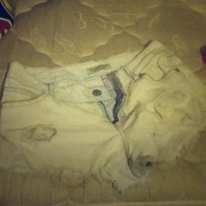 Scruffy short shorts