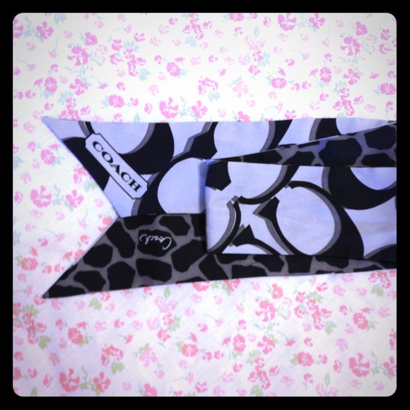 Coach bag/ ponytail scarf