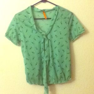 Vintage green sheer top