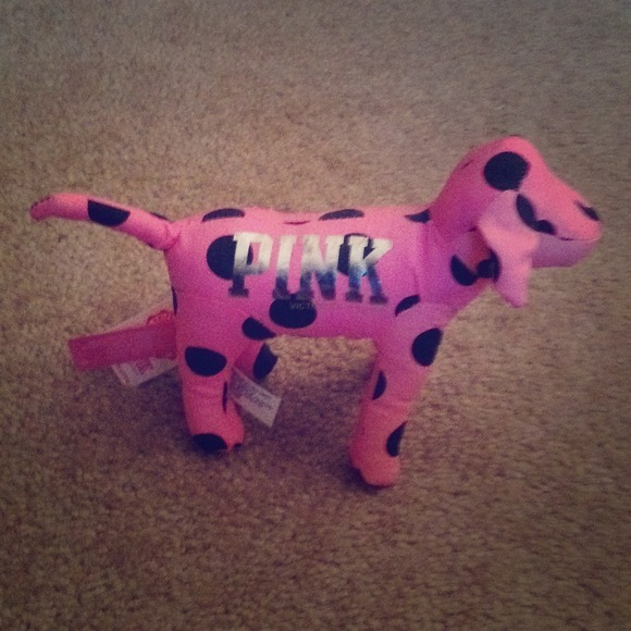 NWT VS Pink dog!