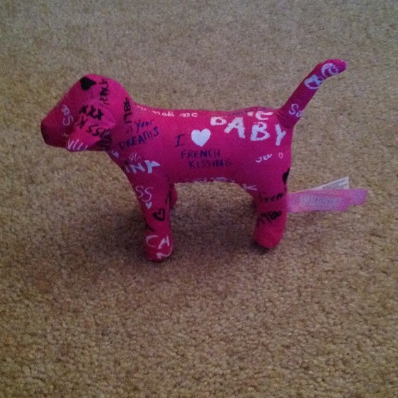 NWT VS Pink dog!