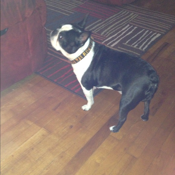 My Baby!! Otis!!