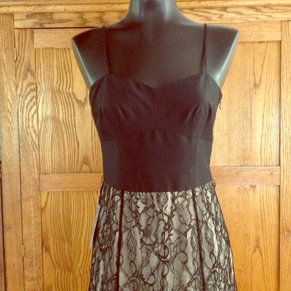 Beautiful Ann Taylor Dress