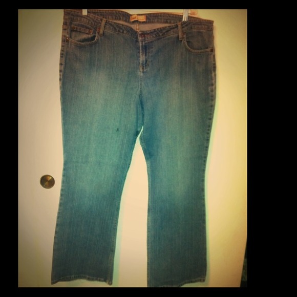 ‼️ REDUCED‼️Women's PLUS SIZE LEI JEANS