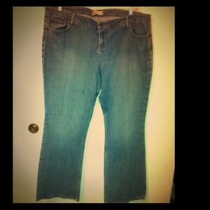 ‼️ REDUCED‼️Women's PLUS SIZE LEI JEANS