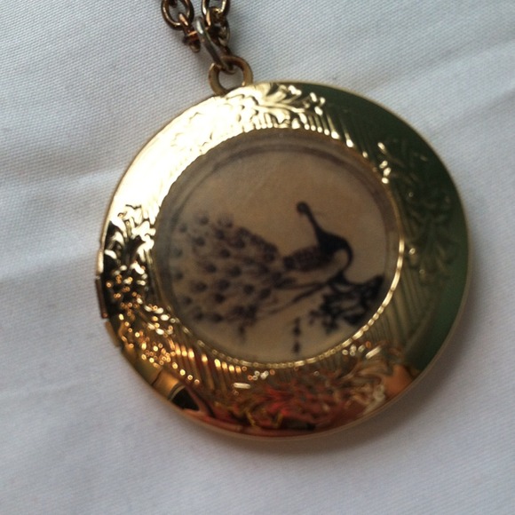 Long Chain Necklace