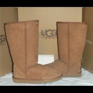 Tall Chestnut Uggs