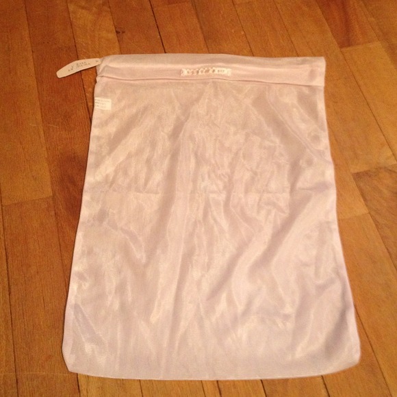 Blush undergarment bag