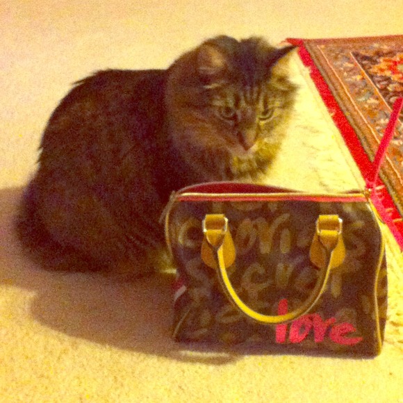 Victoria's Secret Canvas Love Bag Collectors Item