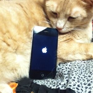 iPhone 4