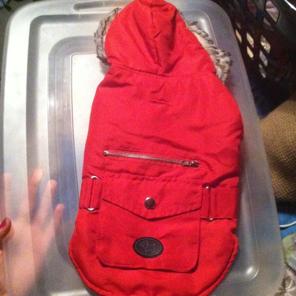 Dog jacket. For small dogs