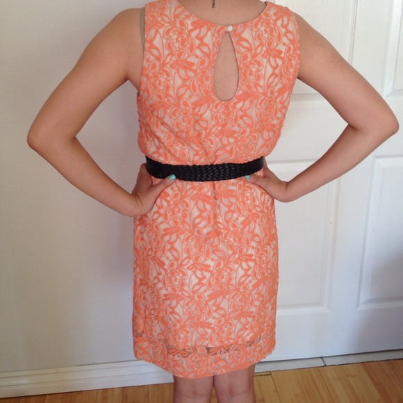 🚫🚫SOLD🚫🚫Tulle Lace Shift Dress M - Picture 3 of 4