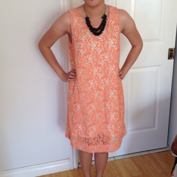 🚫🚫SOLD🚫🚫Tulle Lace Shift Dress M - Picture 4 of 4