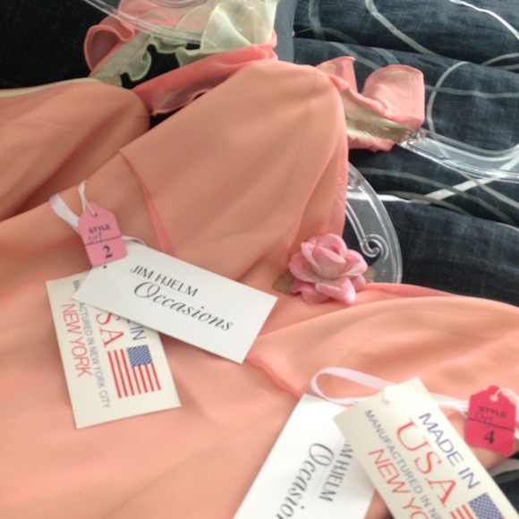 2 chiffon Jim Hjelm Bridesmaids gowns. - Picture 4 of 4