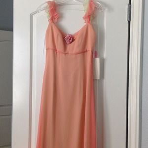 2 chiffon Jim Hjelm Bridesmaids gowns.