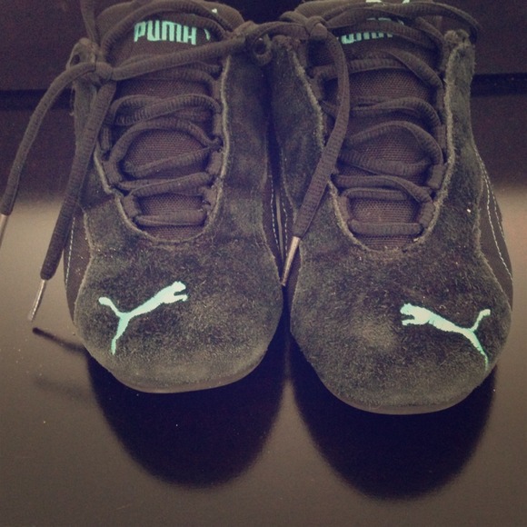 Pumas