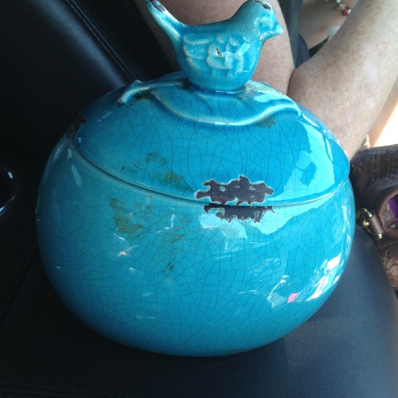 Bird jar