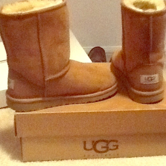 Authentic Chestnut UGGs